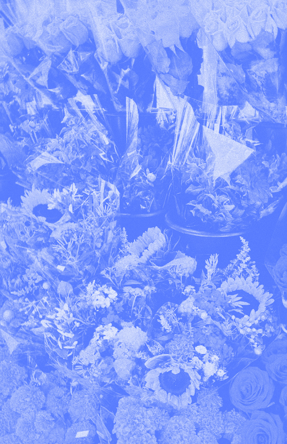 Ramos de flores y plantas variadas en una tonalidad azul.