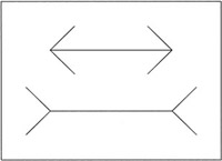 Imagen decorativa
