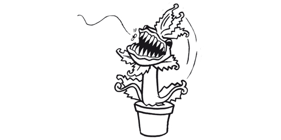 pag9.jpg