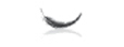 Pluma.psd