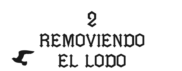 cap2.jpg