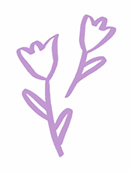 img-ca