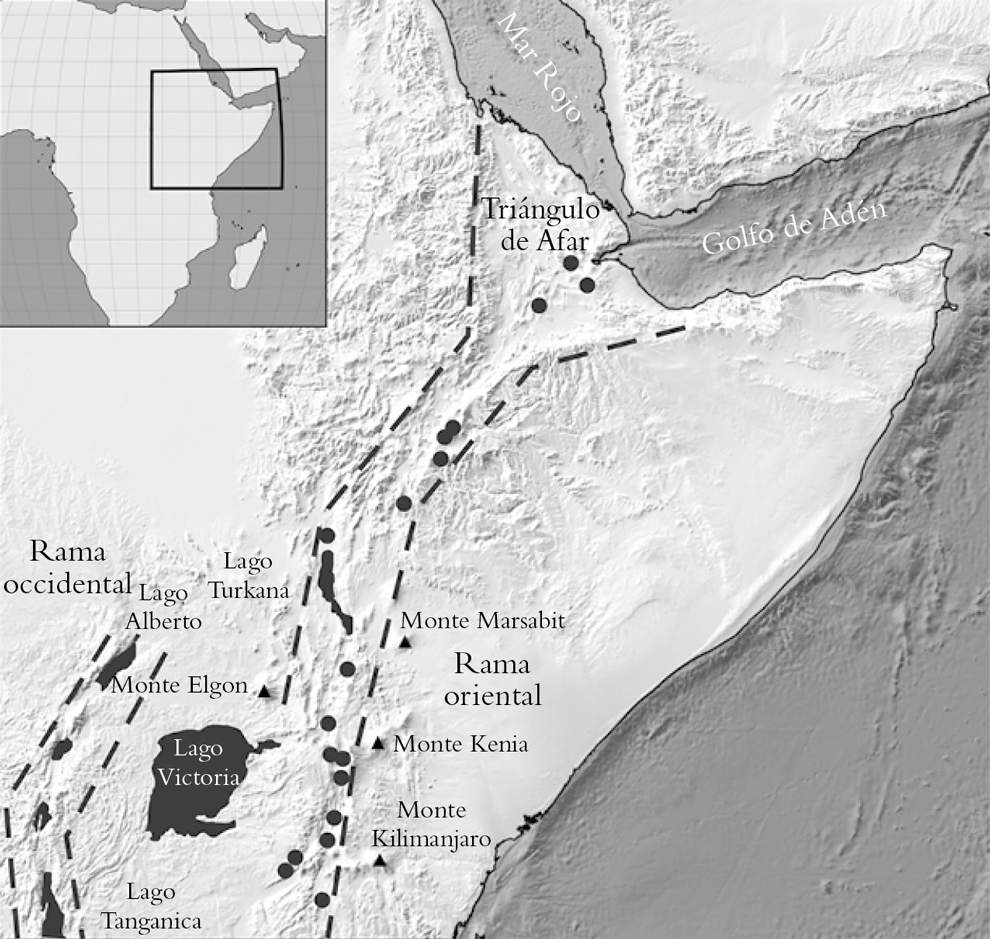 15670.jpg