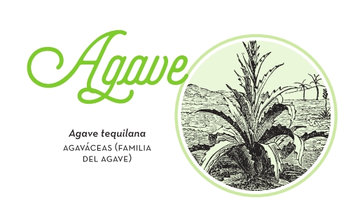 Imagen decorativa