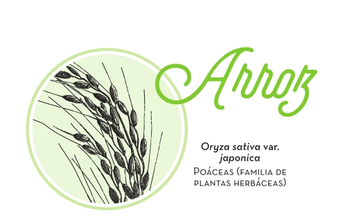 Imagen decorativa