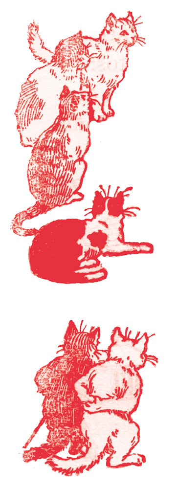 Cubierta