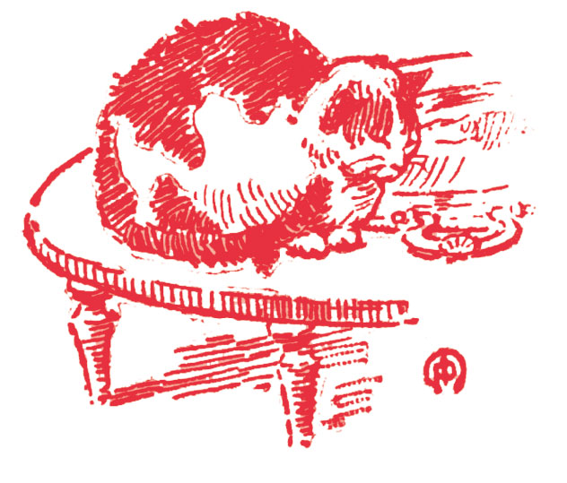 Cubierta