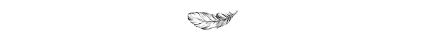 pluma.jpg