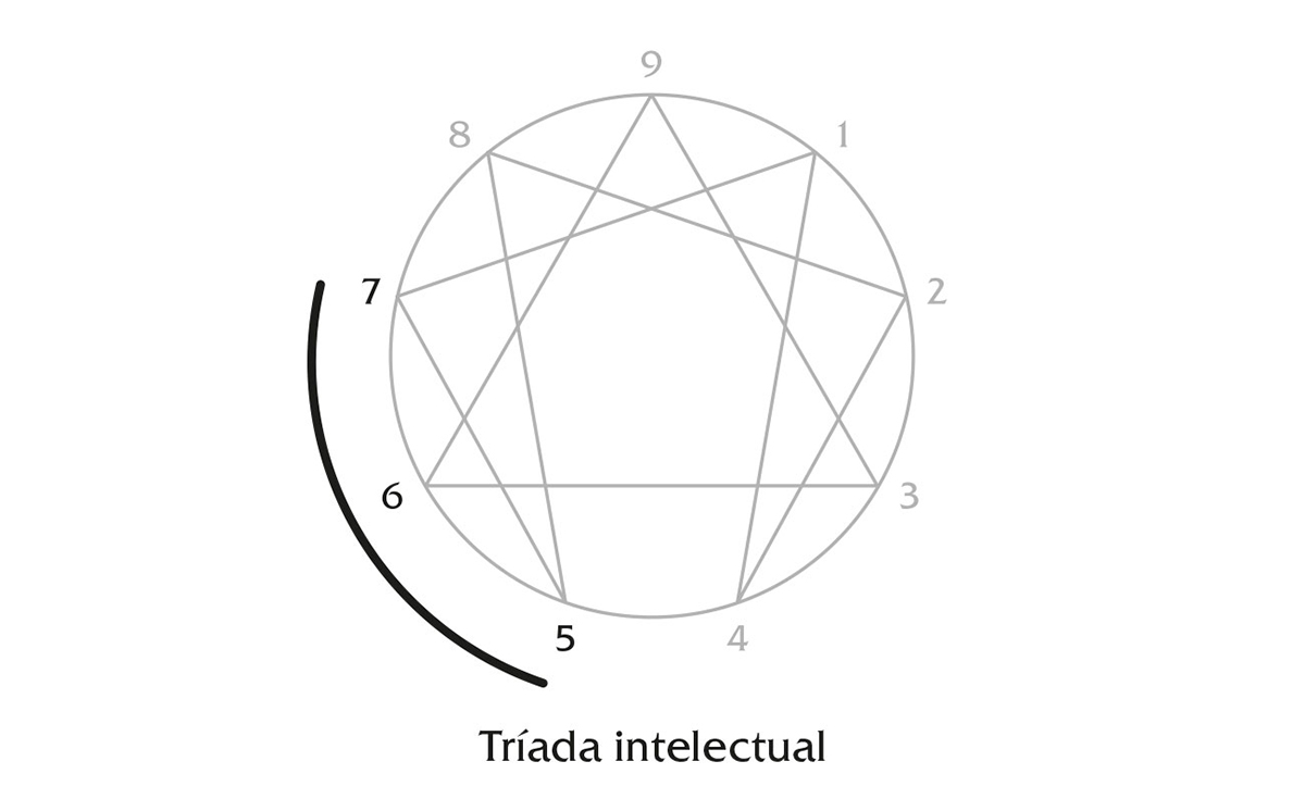 Imagen decorativa
