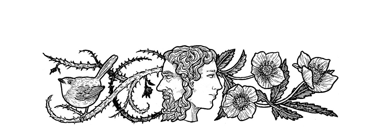Ilustración decorativa