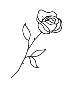 rosa