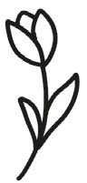 Cubierta