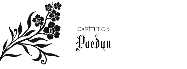 Capítulo 5. Paedyn