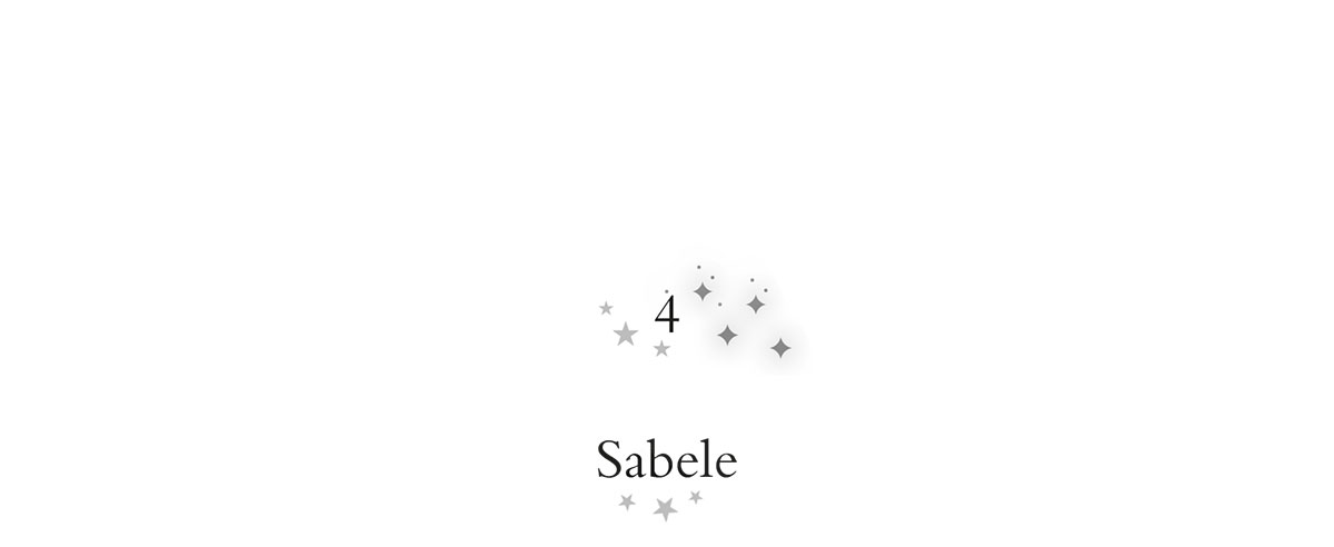 Capítulo 4. Sabele