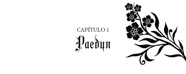 Capítulo 1. Paedyn
