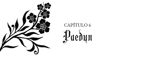 Capítulo 6. Paedyn