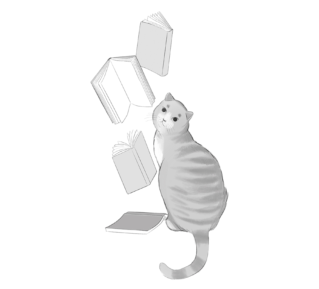 Ilustración de un gato sentado con libros cayendo a su lado
