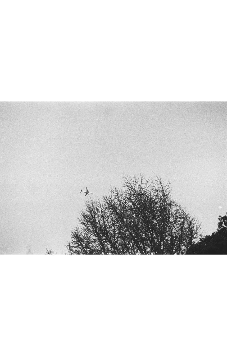 Fotografía en blanco y negro de un avión cruzando el cielo sobre las copas de varios árboles.