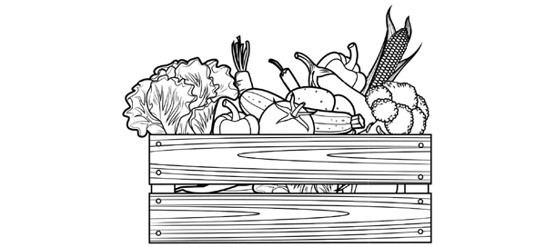 Ilustración de una caja de madera repleta de verduras y hortalizas.