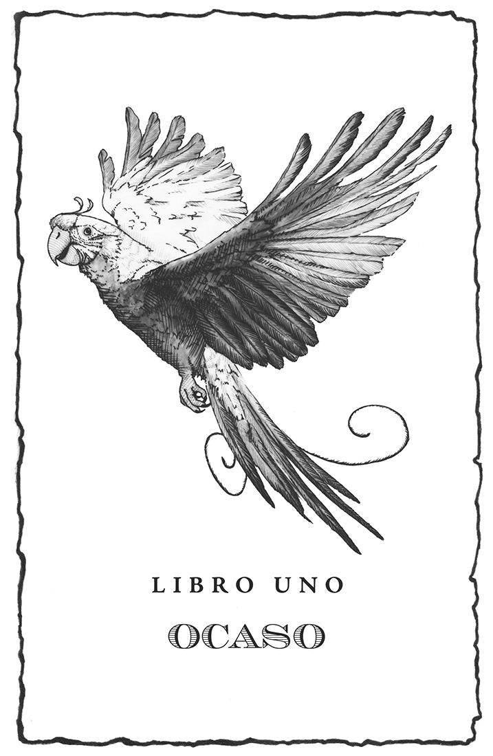 Ilustración a página completa en blanco y negro de un ave similar a un papagayo alzando el vuelo, vista de perfil, con el plumaje claro, el pico curvo entreabierto y unos ojos que parecen fijos en el lector. El texto reza: Libro uno – Ocaso.