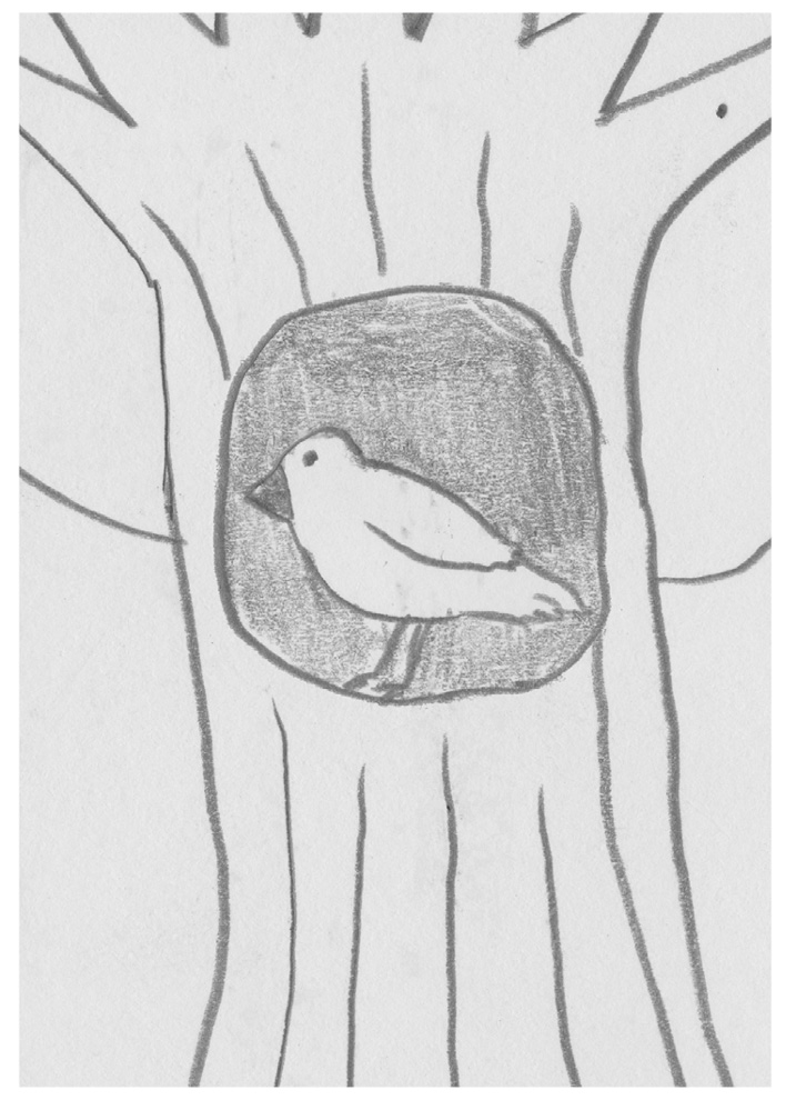 Detalle del tronco del árbol en el que aparece un agujero con un pájaro resguardado en su interior.