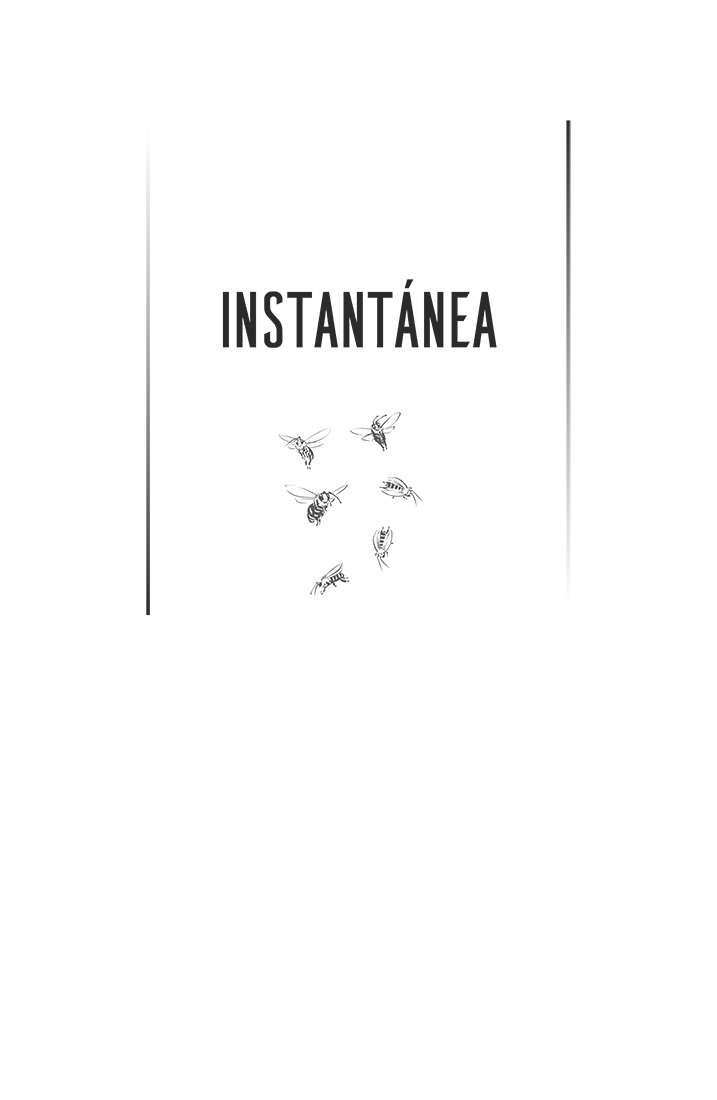 Pequeña ilustración en blanco y negro de seis abejas, y se lee el título, Instantánea