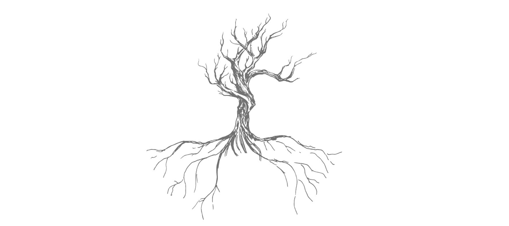 Ilustración de un árbol sin hojas y sus raíces