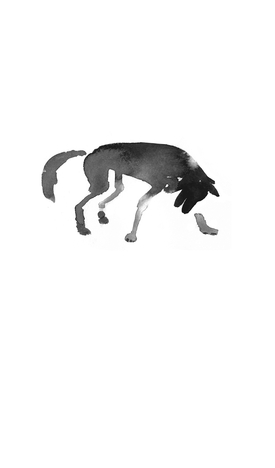 Dibujo en acuarela de un perro