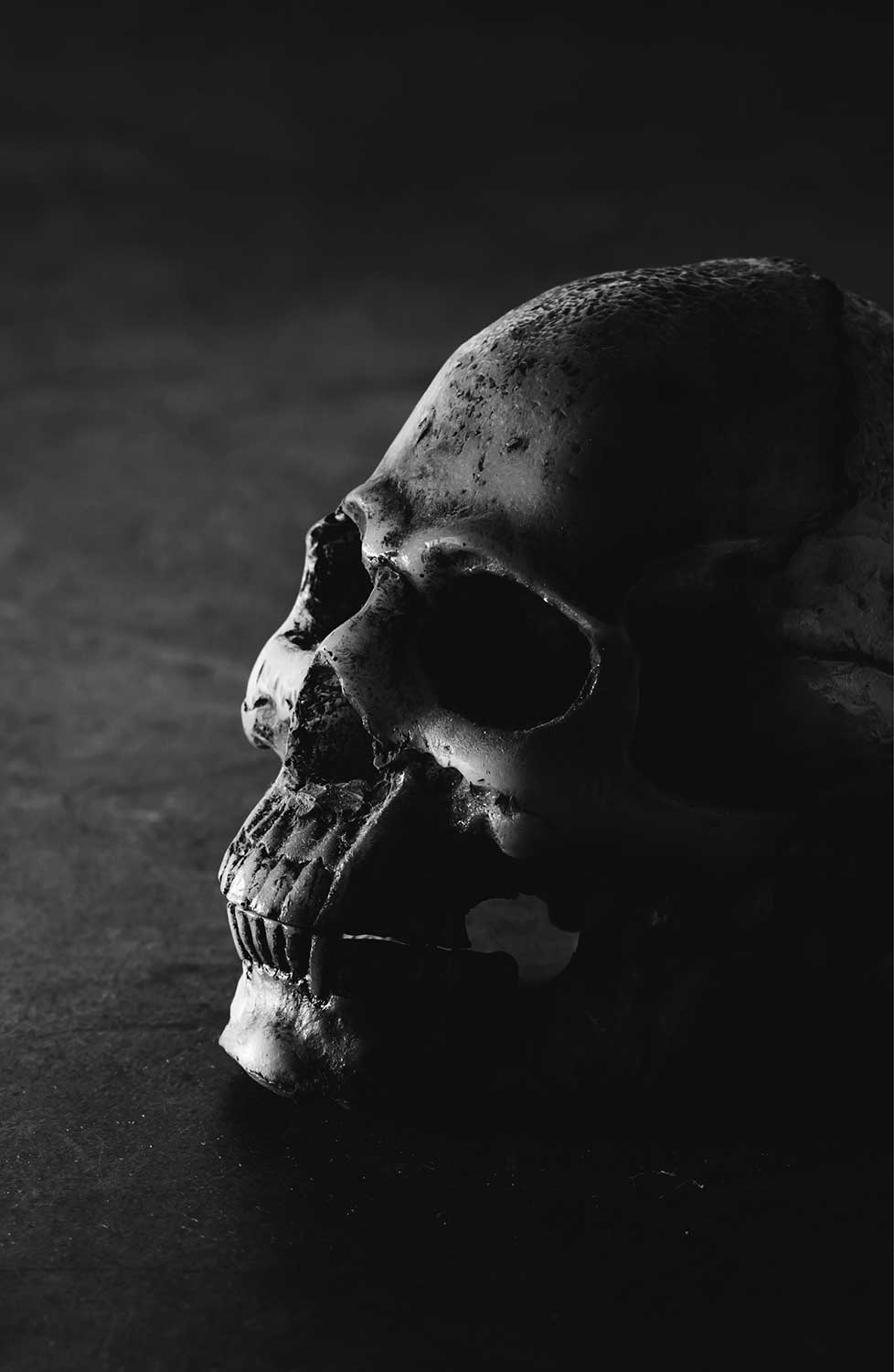 Enigma, image size:978x1500