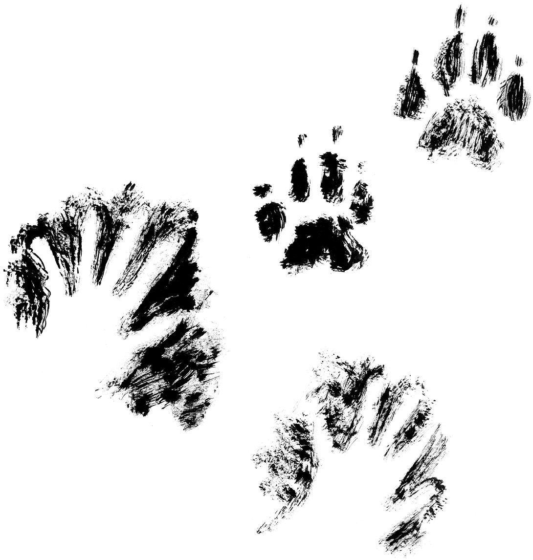 Ilustración que imita un mural prehistórico con el contorno pintado de dos manos humanas y dos huellas de las patas de un perro.
