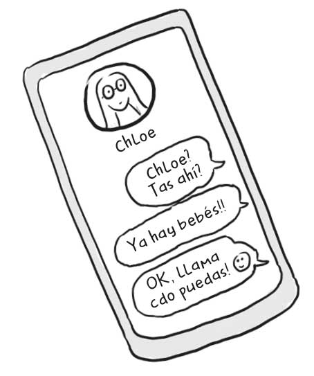 Ilustración de un teléfono en el que hay una conversación de chat con Chloe, los mensajes ponen: «Chloe? Tas ahí?», «Ya hay bebés!!», «OK. Llama cdo puedas! (emoticono cara sonriente)».