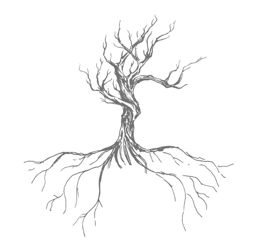 Ilustración de un árbol sin hojas y sus raíces