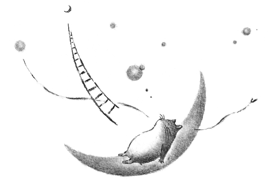 Ilustración de un gato durmiendo en una luna decreciente mientras su respiración escapa. En el fondo hay otra luna.