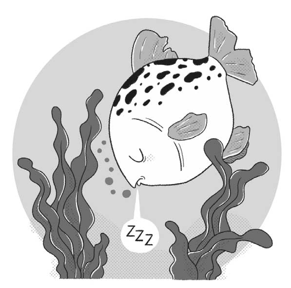 Ilustración de un pez durmiendo entre algas.