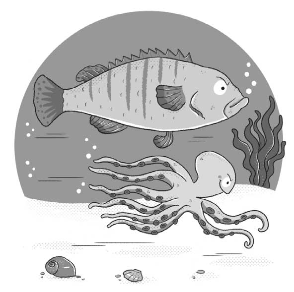 Ilustración de un pez y un pulpo nadando en la misma dirección con la mirada fija hacia delante.