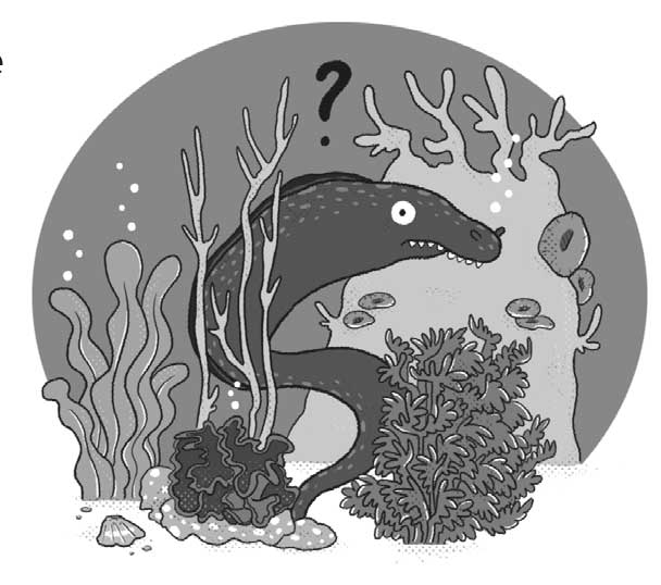 Ilustración de una morena en el fondo del mar entre algas. Hay un interrogante sobre su cabeza.