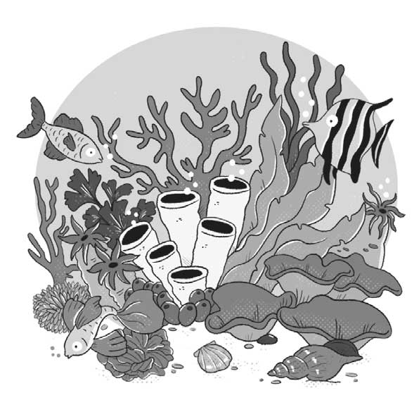 Ilustración de un fondo marino en el que hay corales, algas y peces nadando.