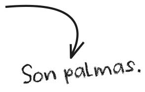 Son palmas