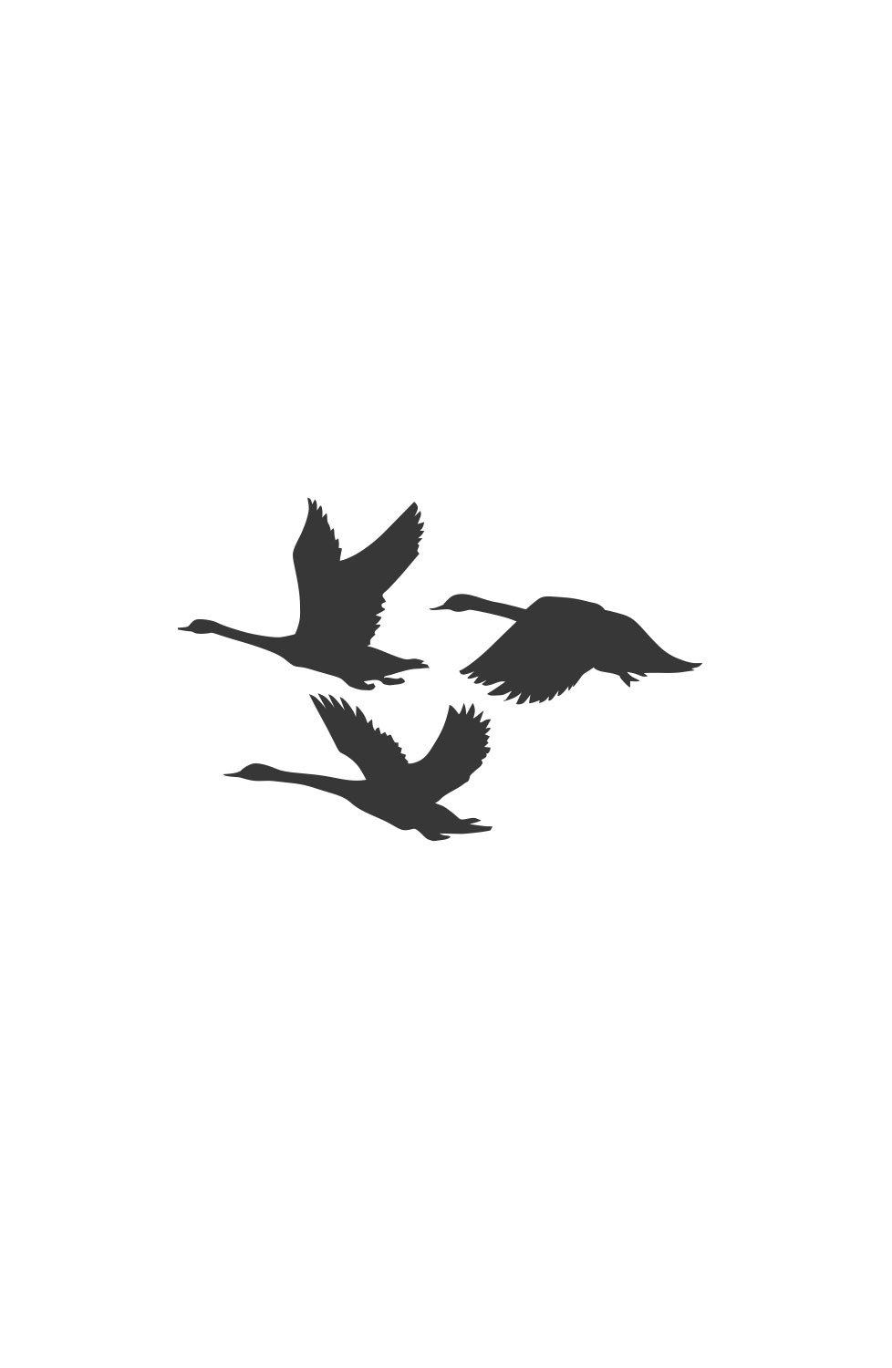 Silueta en negro de la ilustración de tres cisnes volando