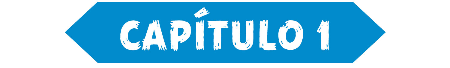 Capítulo 1