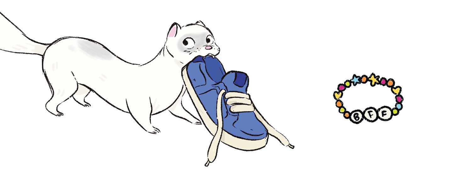 Ilustración de una hurona blanca mordiendo una zapatilla..
