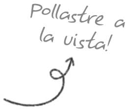 Pollastre a la vista!