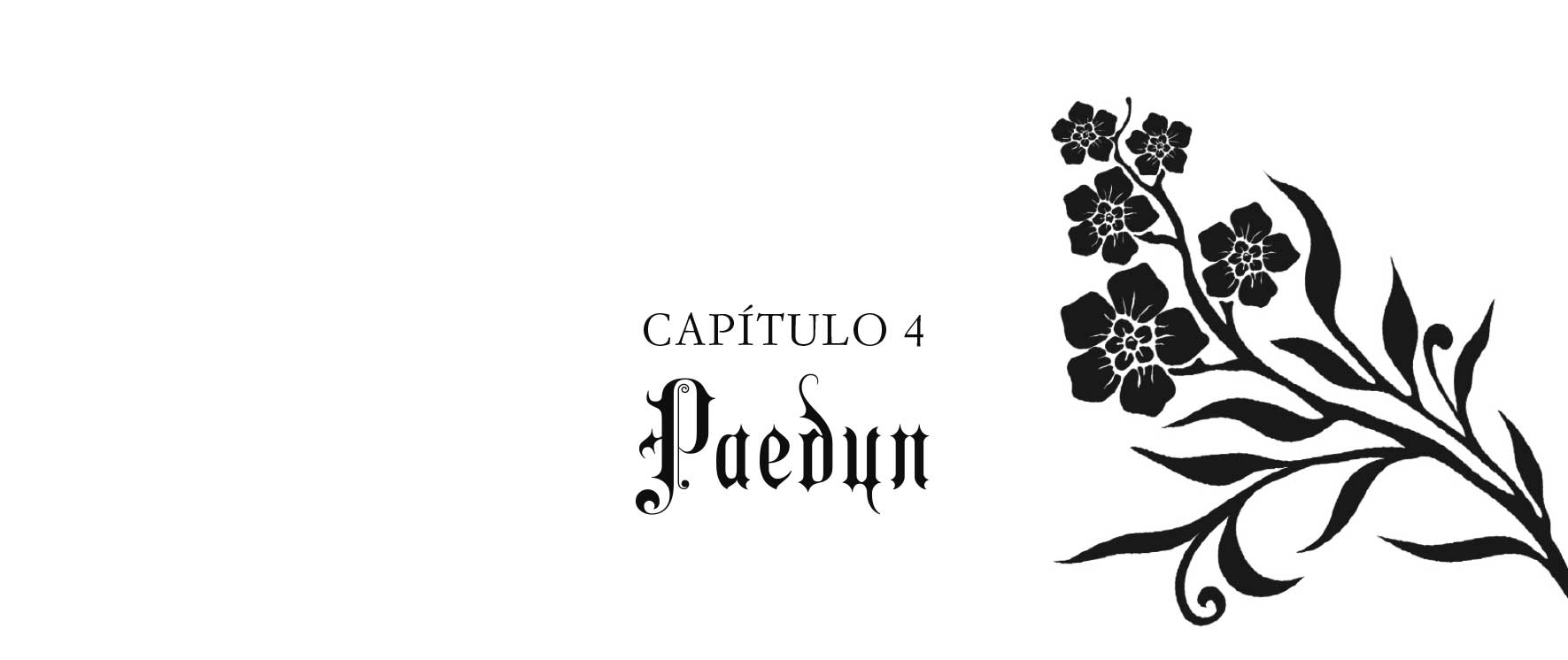 Capítulo 4. Paedyn