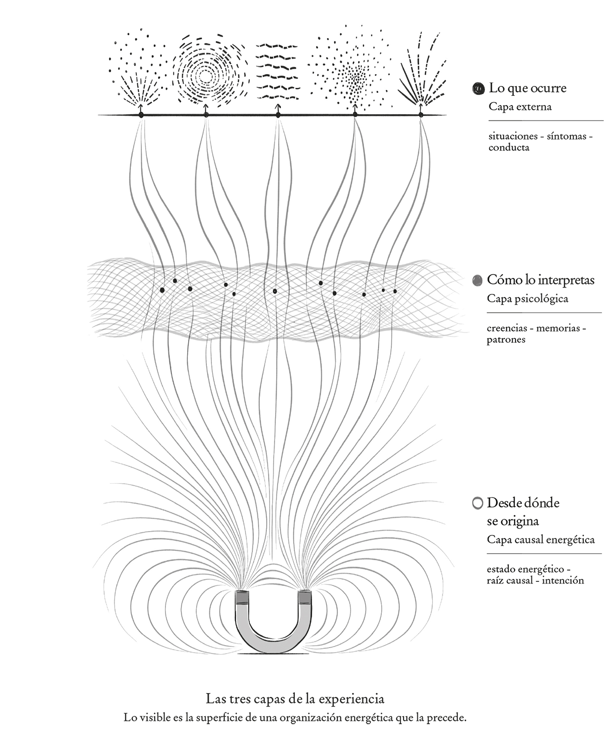 Diagrama que representa las tres capas de la experiencia. En la parte inferior vemos un imán. De este se desprenden diferente energía y representa desde dónde se origina. Se trata de la capa causal energética, estado energético – raíz causal – intención. En el medio hay una franja mas oscura en la que las líneas se vuelven discontinuas hasta llegar a un punto. Estas siguen a partir de este. Esta franja representa cómo se interpreta; capa psicológica, creencias – memoias – patrones. En la parte superior vemos como las líneas se convierten en diferentes formas y patrones. Estos representan lo que ocurre y se trata de la capa externa; situaciones – síntomas – conducta.