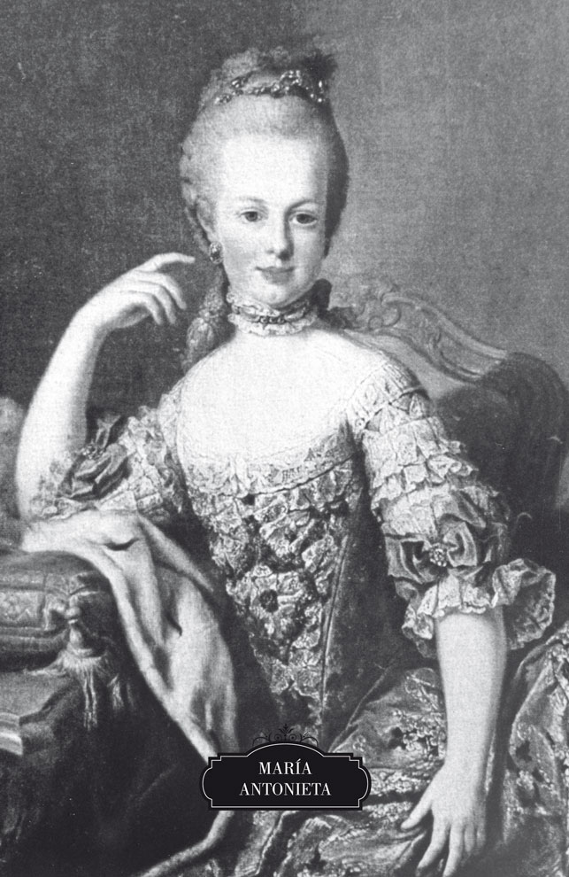 Retrato de María Antonieta sentada en un sillón. Tiene el brazo izquierdo apoyado en un mueble mientras acerca la mano hacia el rostro, la otra mano reposa en su regazo. Sonríe suavemente mientras gira la cabeza hacia la izquierda. Lleva un collar alrededor del cuello, grandes pendientes redodosy joyas en el peinado.