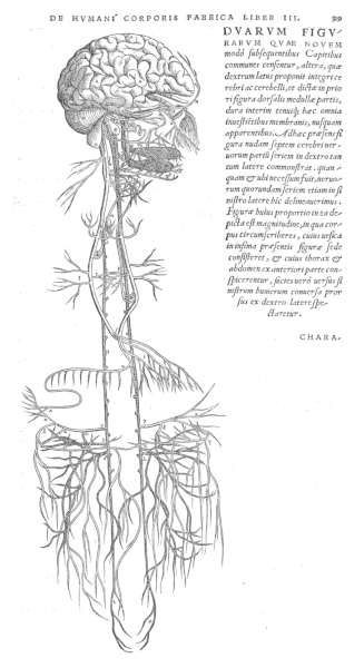 img-19